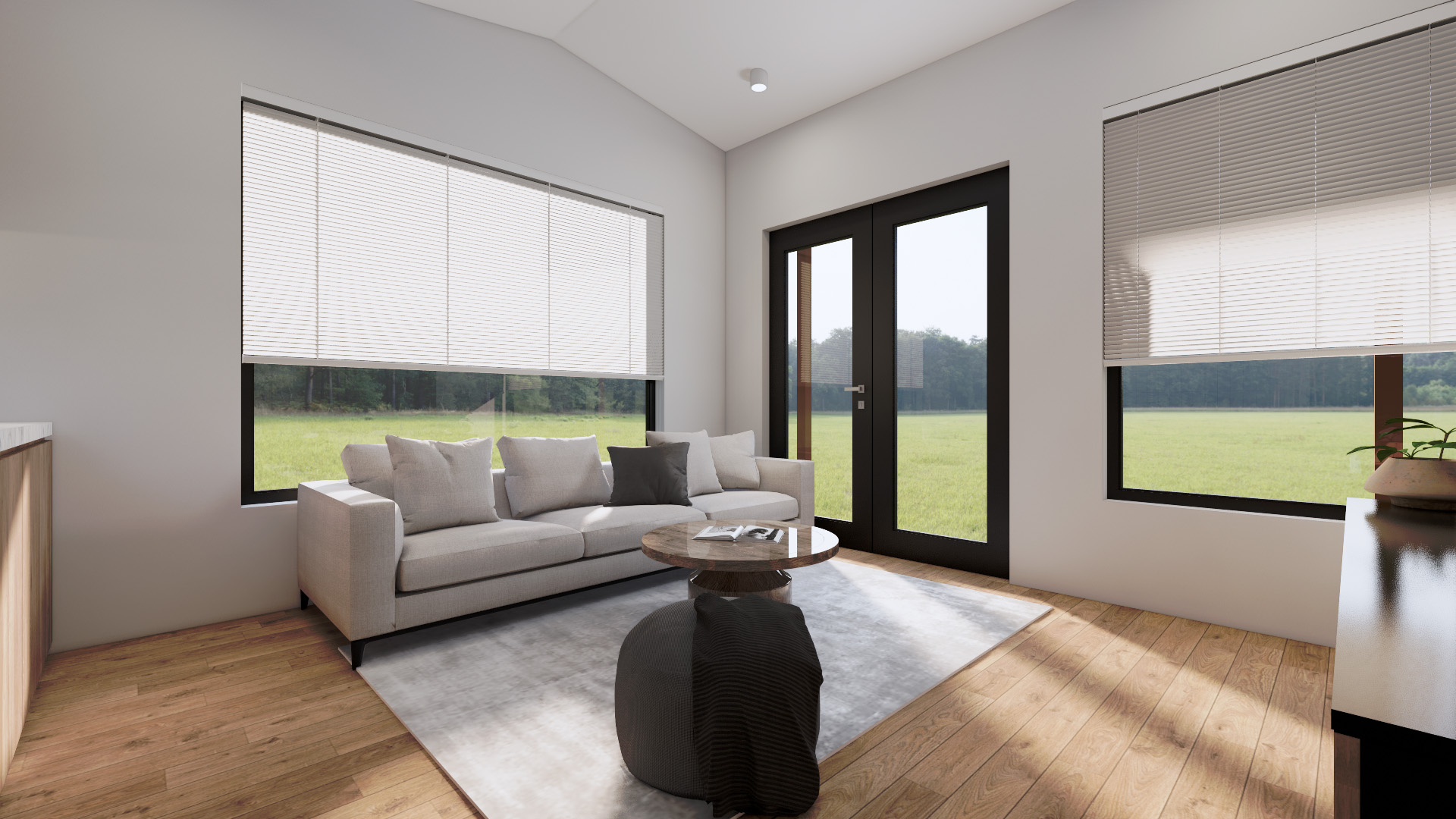 hogan Modular Home